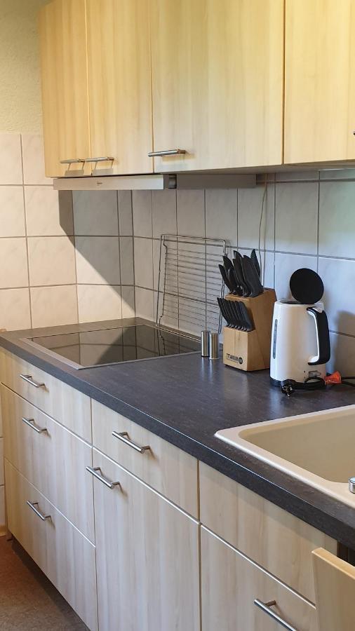 Ferienwohnung An Der Begerburg 드레스덴 외부 사진